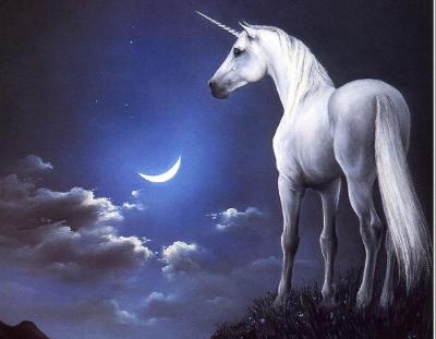 20080508232601-unicornio-imagenes-fantasia.jpg
